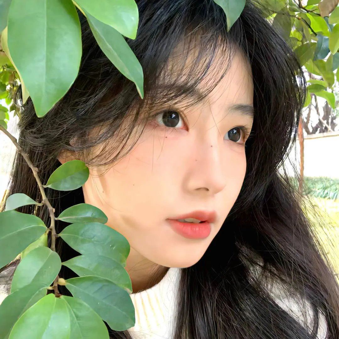 假孕风波
